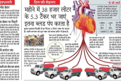 Heart Function